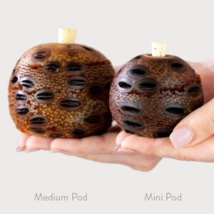 Banksia Aroma pod diffuser SML