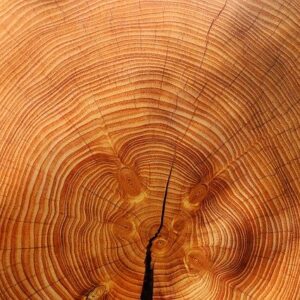 Essential oil Cedarwood