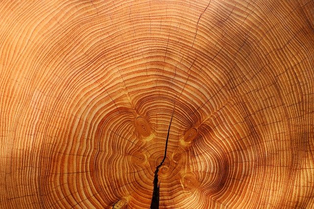 Essential oil Cedarwood