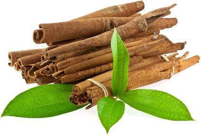 Essential oil Cinnamon