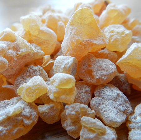 Essential oil Frankincense