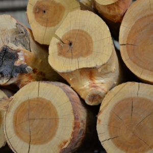 Essential oil Indian Sandalwood